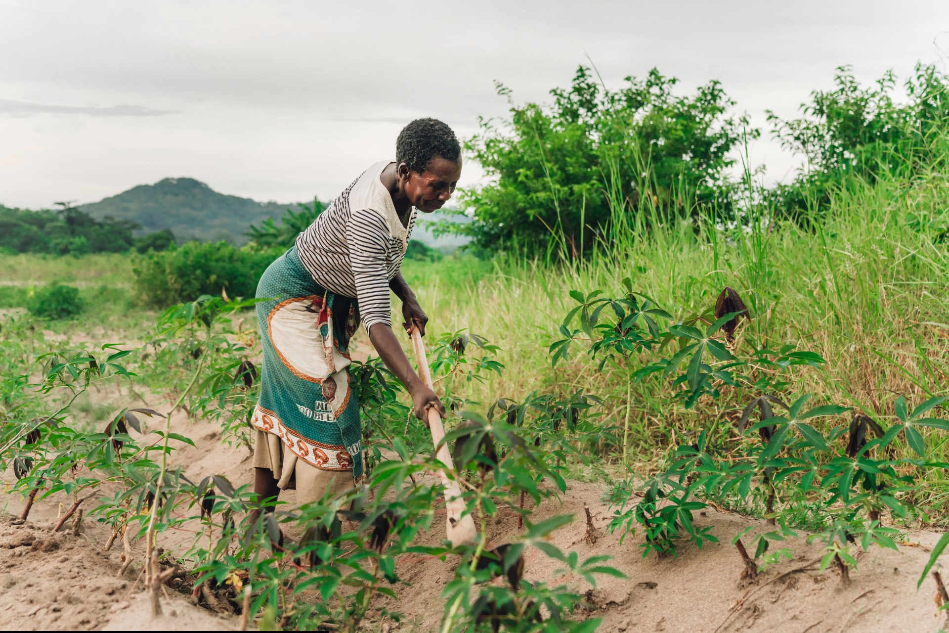 Innovations in Tanzanian Agriculture