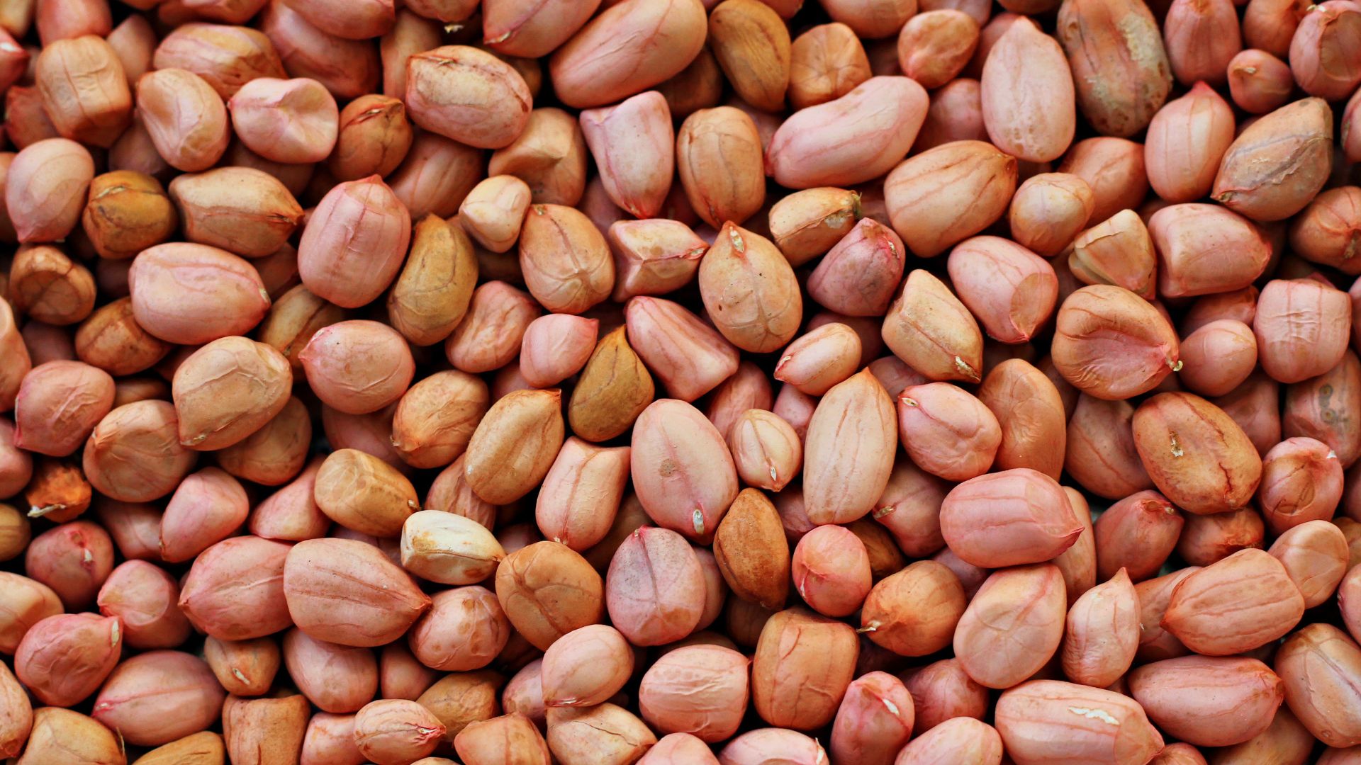 Oil seeds