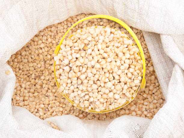 Grains